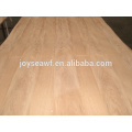 Swietenia mahagoni Plywood Fabricação